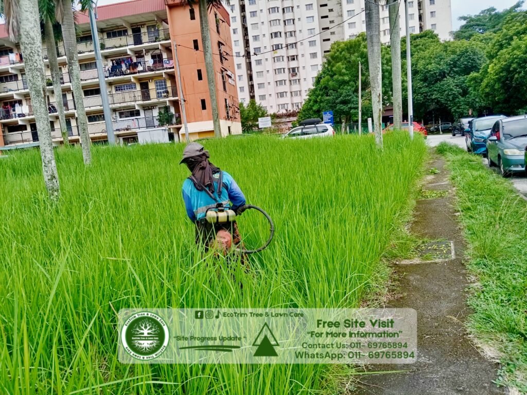 At EcoTrim Tree & Lawn Care, we believe a well-maintained lawn is more than just curb appealIt’s a sign of care, pride, and peace of mind.